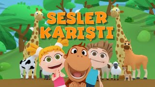 Sesler Karıştı - En Yeni Kukuli Şarkıları - Kukuli Ve Sevimli Hayvanlar Resimi