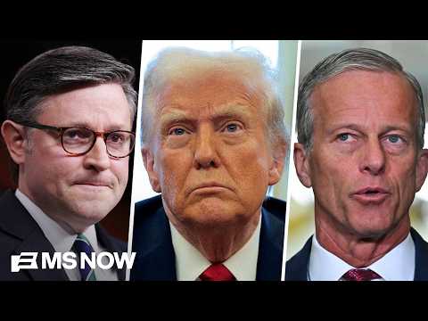 'I'm baffled' by anyone who will 'give Republicans a chance' given the state of the U.S.: Professor