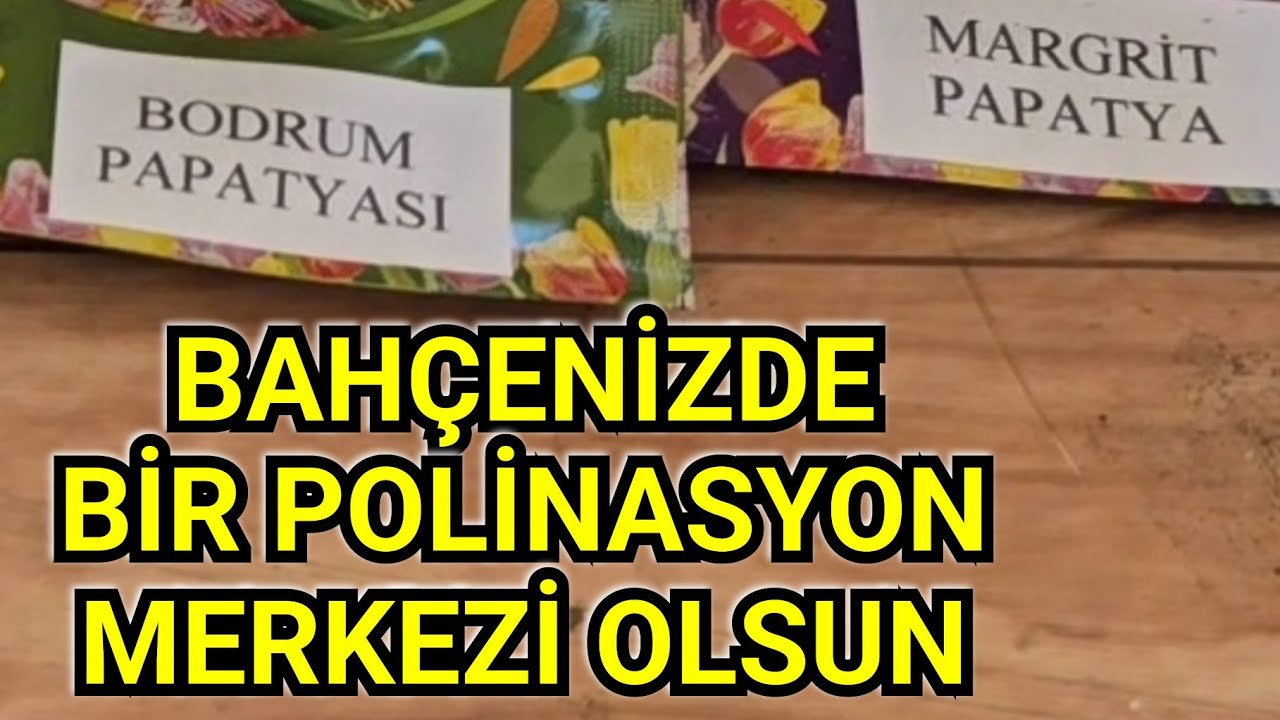 Her bahçede bir polinasyon merkezi olmalı