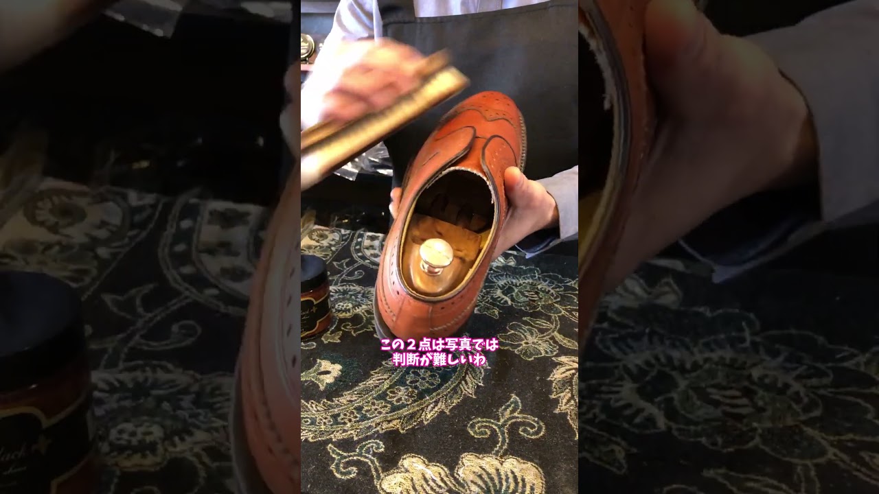 セロリ　　他の方は購入しないでください YouTube