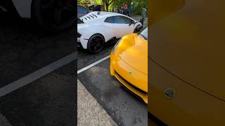Lotus & Lamborghini