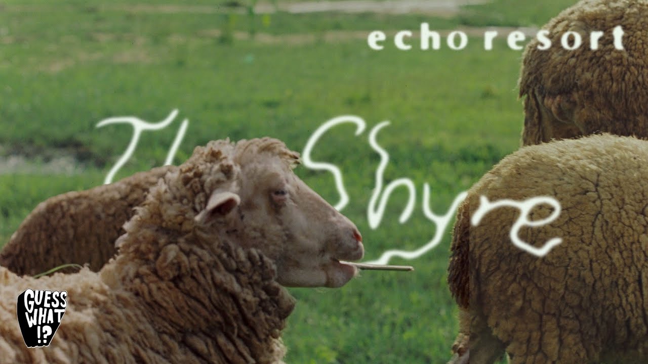 Echo Resort -  The Shyre (OFFICIAL LOOP VIDEO!!)