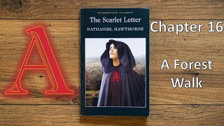 The Scarlet Letter by Nathaniel Hawthorne chapter 16 - Audiobook