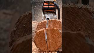 Chainsaw Wood Cutting Machine Working! 🪵🪓 #shorts #viral #diy