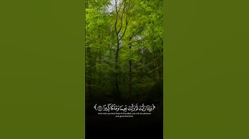 عينا فيها تسمى سلسبيلا- آيات من سورة الانسان بصوت القارئ محمد اللحيدان#اكسبلور#المصحف#الرحمن  #لايك
