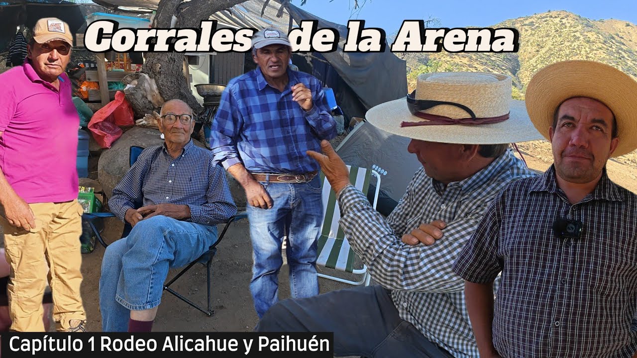 Como es una de las Tradiciones más grandes del campo Chileno Rodeo la Arena Alicahue y Paihuen