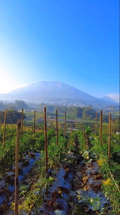 Adakah yang tau gunung apa itu? #nature #travel #storywa #magelang  #ngablak