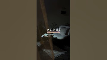 سورة الاخلاص|القارئ اسلام صبحی|ارح سمعك با القرآن 🫀