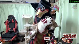 【Fursuit/獣化#156】水曜のもふもふタイム🐶🐾【ジュージュー/JuuJuu】#fursuit #獣化 #live