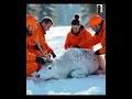 #rescue