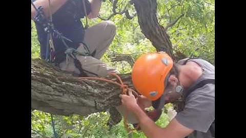 The Beasthorn Redirect.