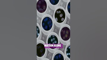 The Double Helix: Discovering DNA