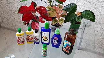 АНТУРИУМ. АГЛАОНЕМА. Высокоэффективные удобрения для антуриумов и аглаонем