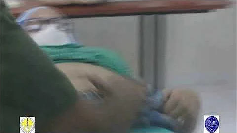 VIDEO FCS UASD
