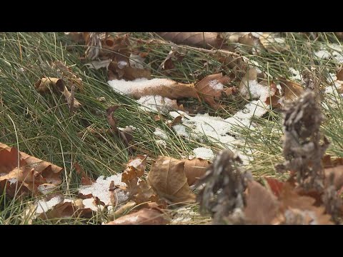 곳곳에 첫눈 소식…중부지방 기온 '뚝 / 연합뉴스TV (YonhapnewsTV)
