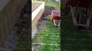 Retaining Wall + SOD + Irrigation System + Drainage