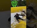They WIPED OUT… and Loved It! 🤣💦