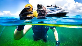 Dangerous Scallop Catch & Cook Mission With MEGA Lightning STORMS!! (CHEATING CHALLENGE)