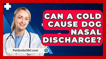 Can A Cold Cause Dog Nasal Discharge? - PetGuide360.com