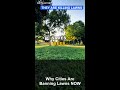 Why Cities Are Banning Lawns NOW
