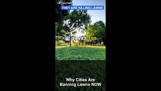Why Cities Are Banning Lawns NOW