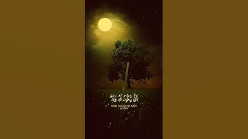 القرآن الكريم صوت جميل#المصحف#اكسبلور#اكسبلور#لايك#quran#quranic