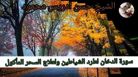 سورة الدخان لطرد الشياطين ولعلاج السحر المأكول بصوت الشيخ حسن ادريس