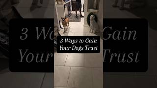 3 Ways To Gain Your Dogs Trust Part 1