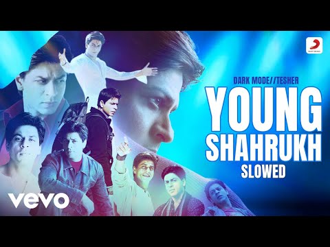 Young Shahrukh Slowed Tesher DarkMode Official Full Video Got 500 Dollars In Cash 