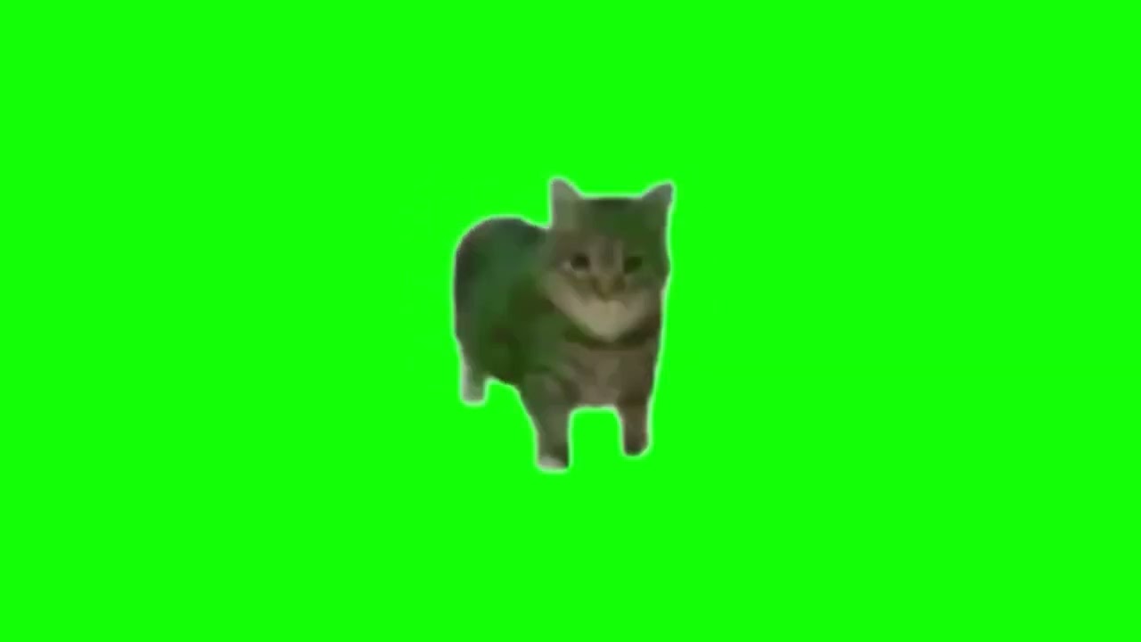 猫ミーム素材】回転 くるくる クルクル 猫 rotate round and round