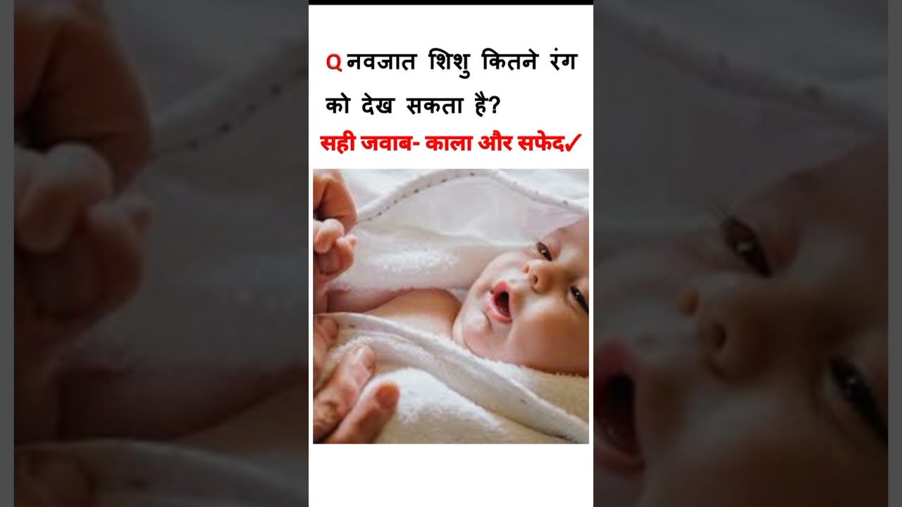 IQ Test|| IQ Based Question In Hindi🔥|| Interview Question | 