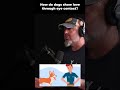 How do dogs show love through eye contact #dogtalk #podcast