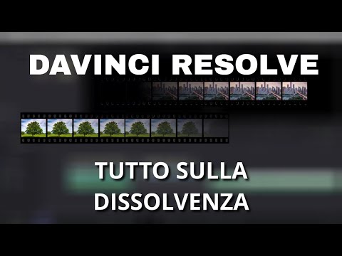 Video: Qual è il modello di dissolvenza?