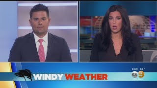 Strong Winds Lead To Downed Trees, Damaged Cars, Delayed PGA Golf Tournament