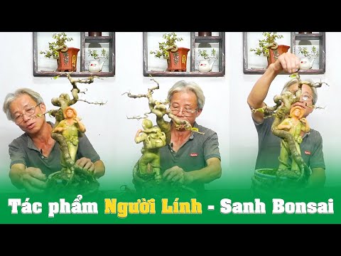 Video Tác phẩm Người Lính - Sanh Bonsai I Dương Cây Cảnh - youtube