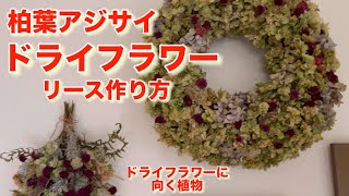 紫陽花のドライフラワーリース　七月のインテリア　柏葉紫陽花 mqdefault.jpg