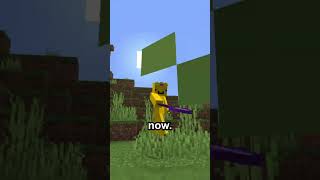 NETHER Water Video FAKE? ✅❌