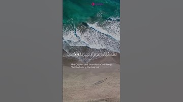 ما تيسر من سورة الزمر ✨ #younes_gharbi #سورة_الزمر