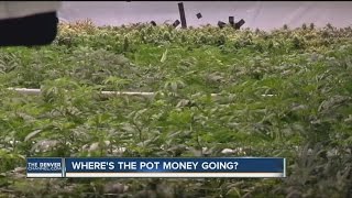 Audit: Problems tracking Denver pot tax money