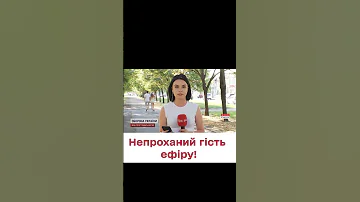 У пряме ввімкнення кореспондентки ТСН заповз на голову павук 