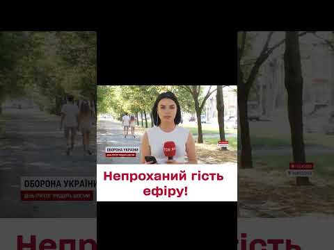 У пряме ввімкнення кореспондентки ТСН заповз на голову павук