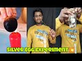 Silver egg experimentegg experiment tamilshorts