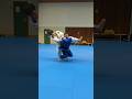 Ref:Y2Jd1q3DL4Q   how do you like these combinations of throws  #judo #judotechniques #judothrows #ouchigari #judoka