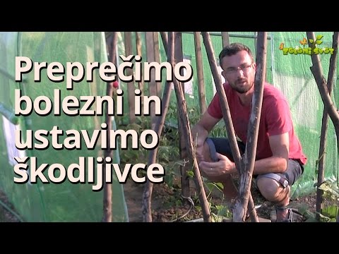 Preprečimo bolezni in ustavimo škodljivce