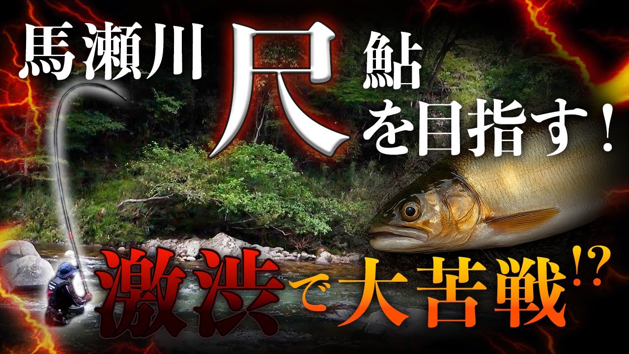 終盤の馬瀬川で尺鮎を狙う！！！【鮎釣り】