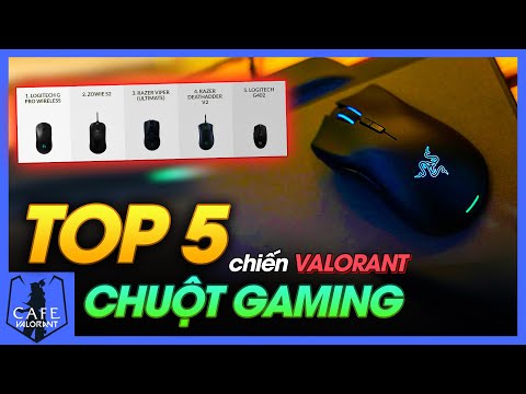 TOP 5 CHUỘT GAMING "CHIẾN" TỐT VALORANT