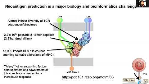 Model Informed Drug Development Approaches for Immunogenicity Assessments Workshop