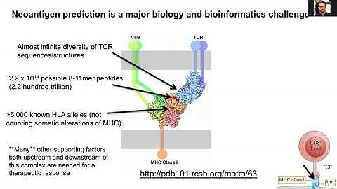 Model Informed Drug Development Approaches for Immunogenicity Assessments Workshop
