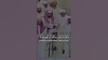 اللهم صل و سلم على محمد ‎القارئ: علي جابر السورة:التوبه (51-53)