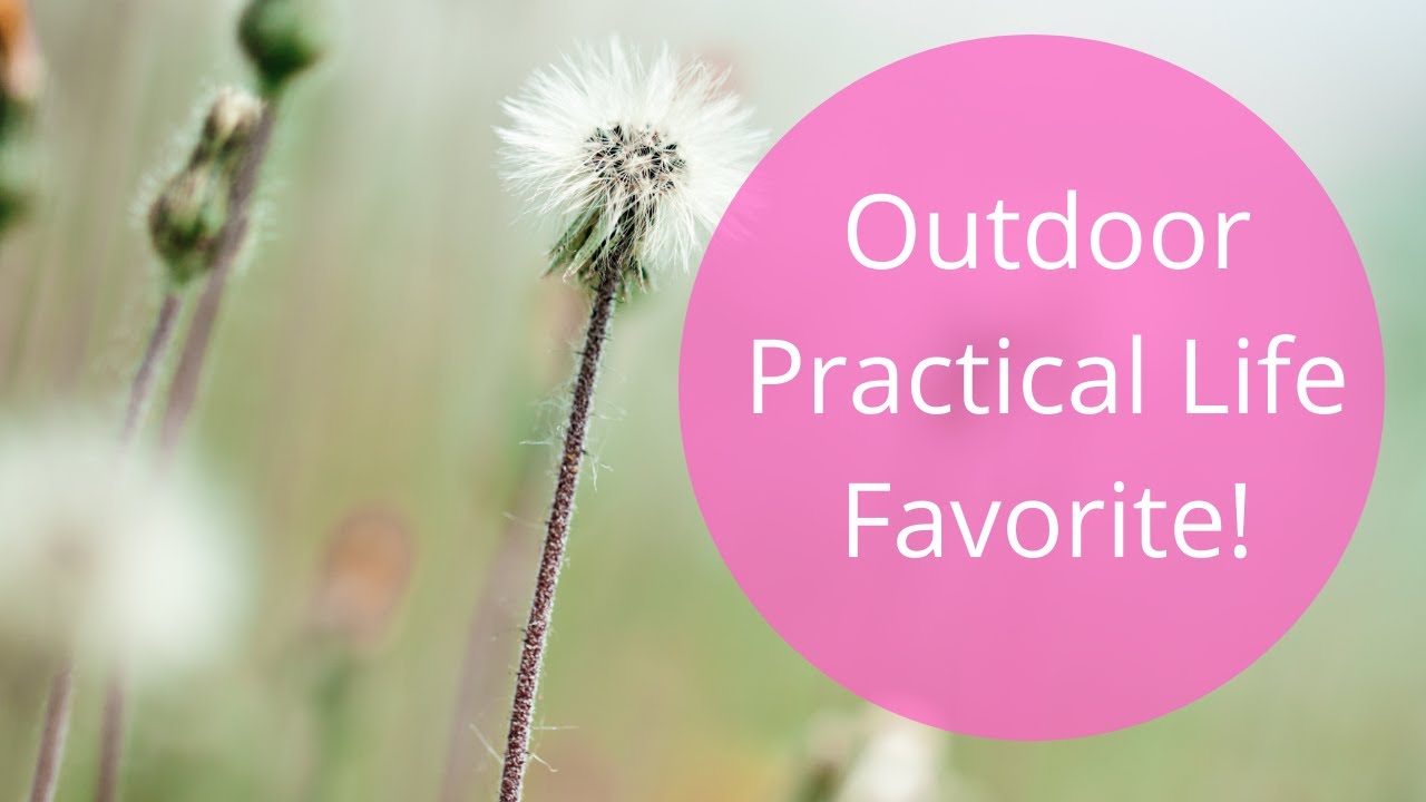 A favorite fall outdoor practical life activity! Montessori toddler community activity